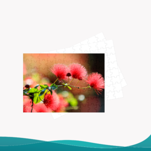 Rompecabezas - ID RP004