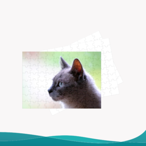 Rompecabezas - ID RP006