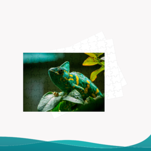 Rompecabezas - ID RP008