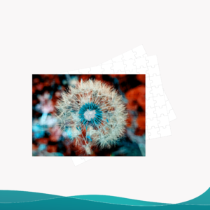 Rompecabezas - ID RP010