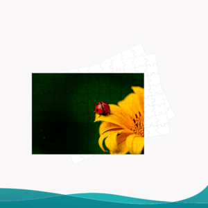 Rompecabezas - ID RP013