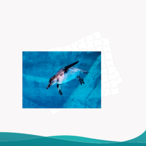 Rompecabezas - ID RP014