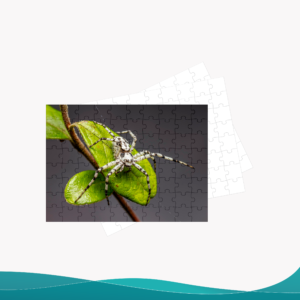 Rompecabezas - ID RP017