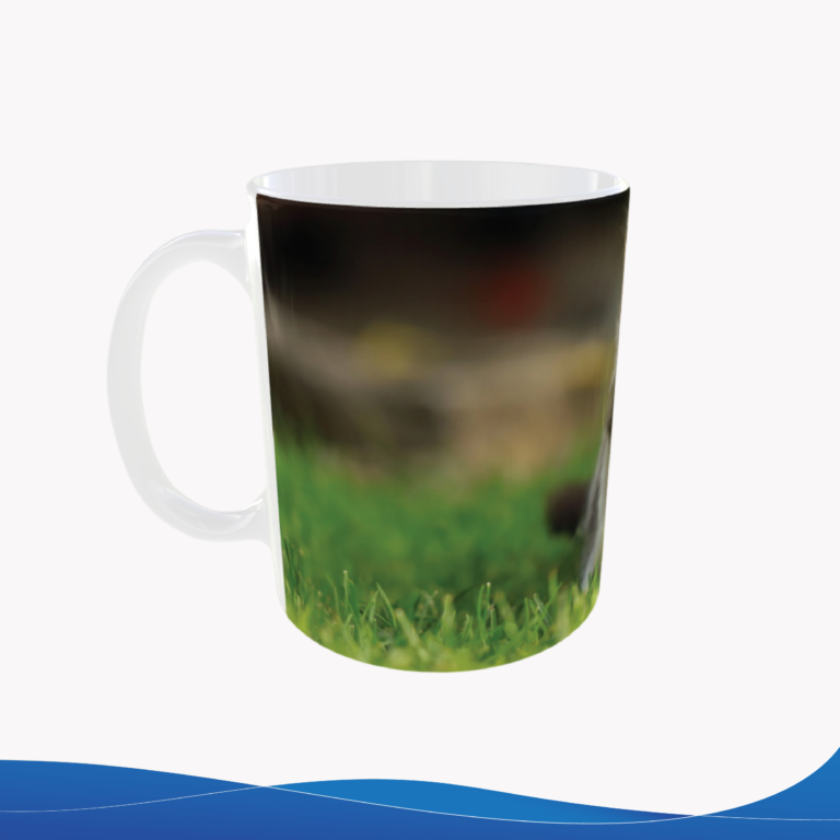 Taza 11oz – ID TU011
