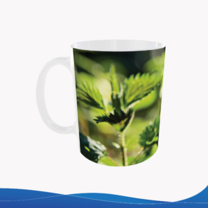 Taza 11oz – ID TU028