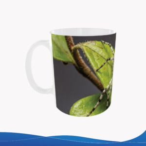 Taza 11oz – ID TU045